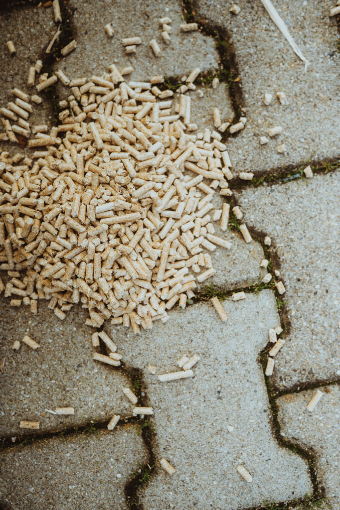 Holzpellets auf Pflastersteinen verstreut.