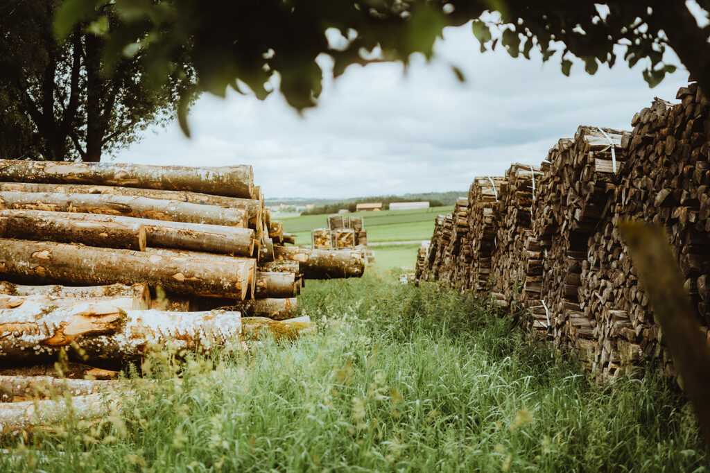 Holzstapel in grüner Landschaft.